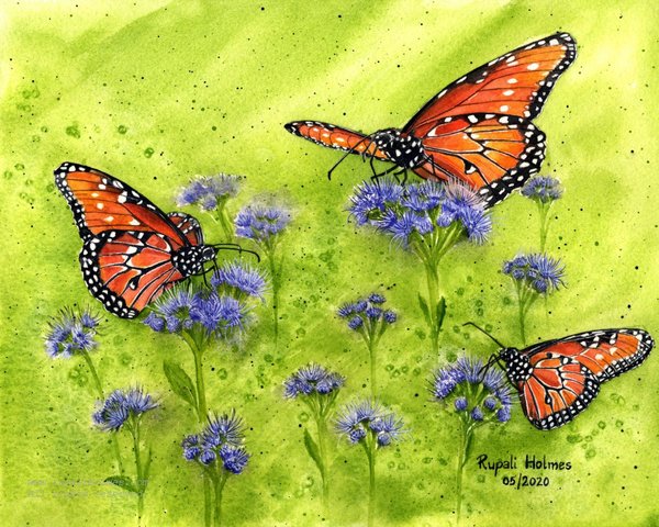 Butterfly Mist | 8" x 10" | Sold