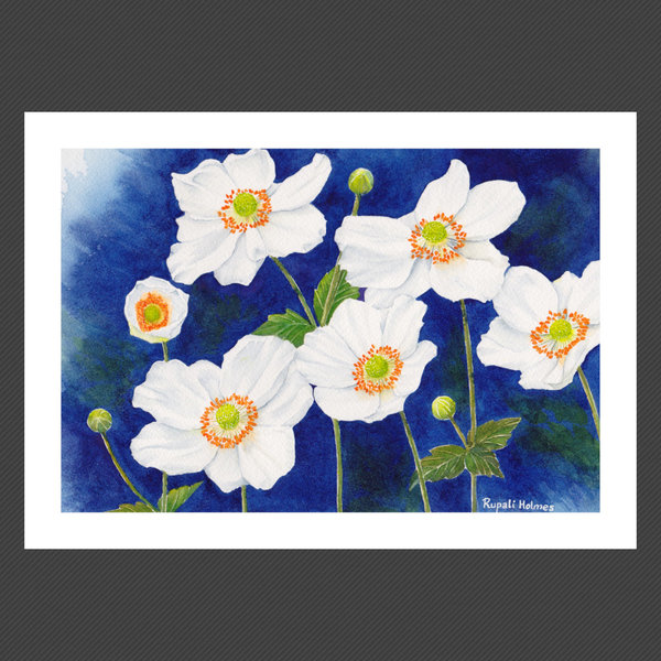 Japanese Anemone