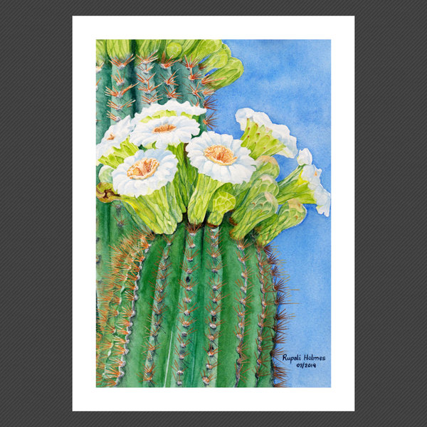 Saguaro Blossoms