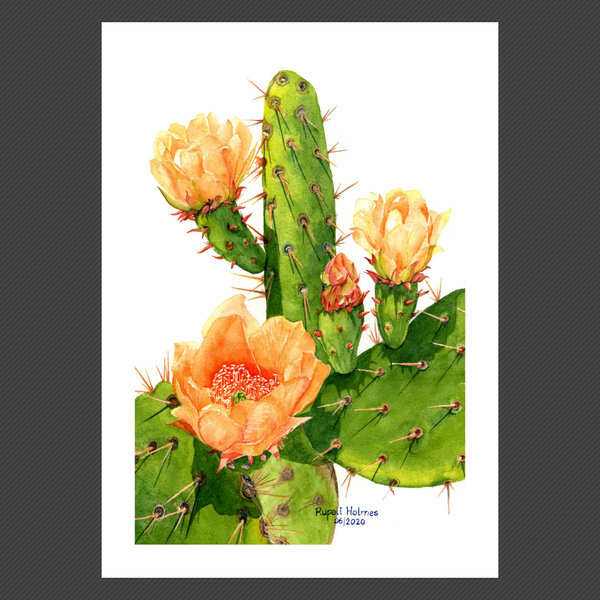 Prickly Pear