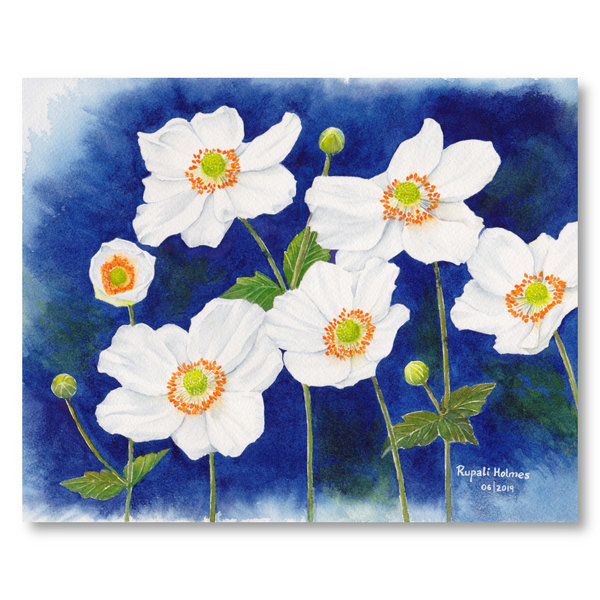 Japanese Anemone