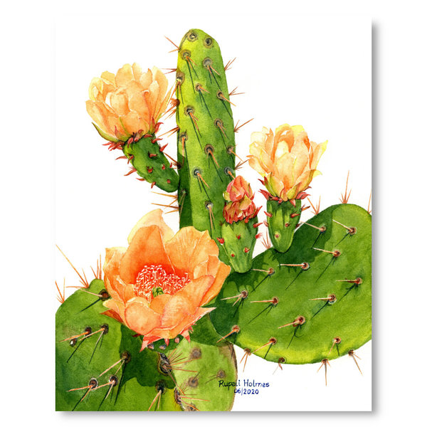 Prickly Pear