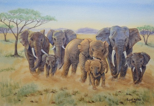 Stay Close | 16" x 11" | $575