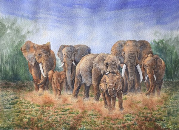 Stay Close | 10" x 14" | Sold